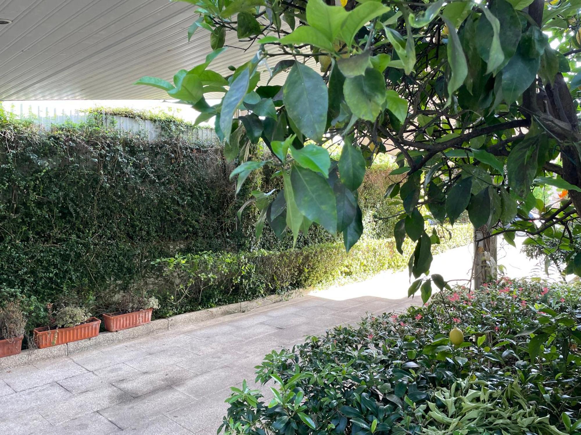 Willa Casa Do Paco Guimarães Zewnętrze zdjęcie
